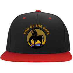 End Of The Data - Flat Bill High-Profile Snapback Hat
